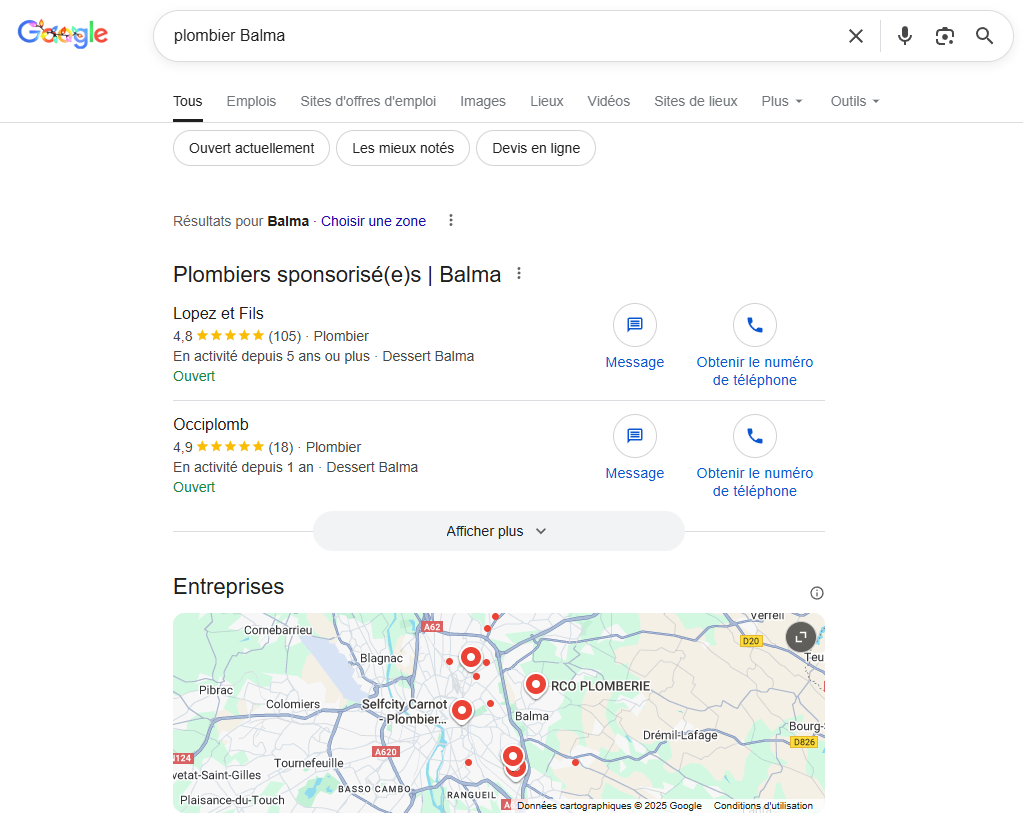 exemple de recherche sur google pour plombier balma