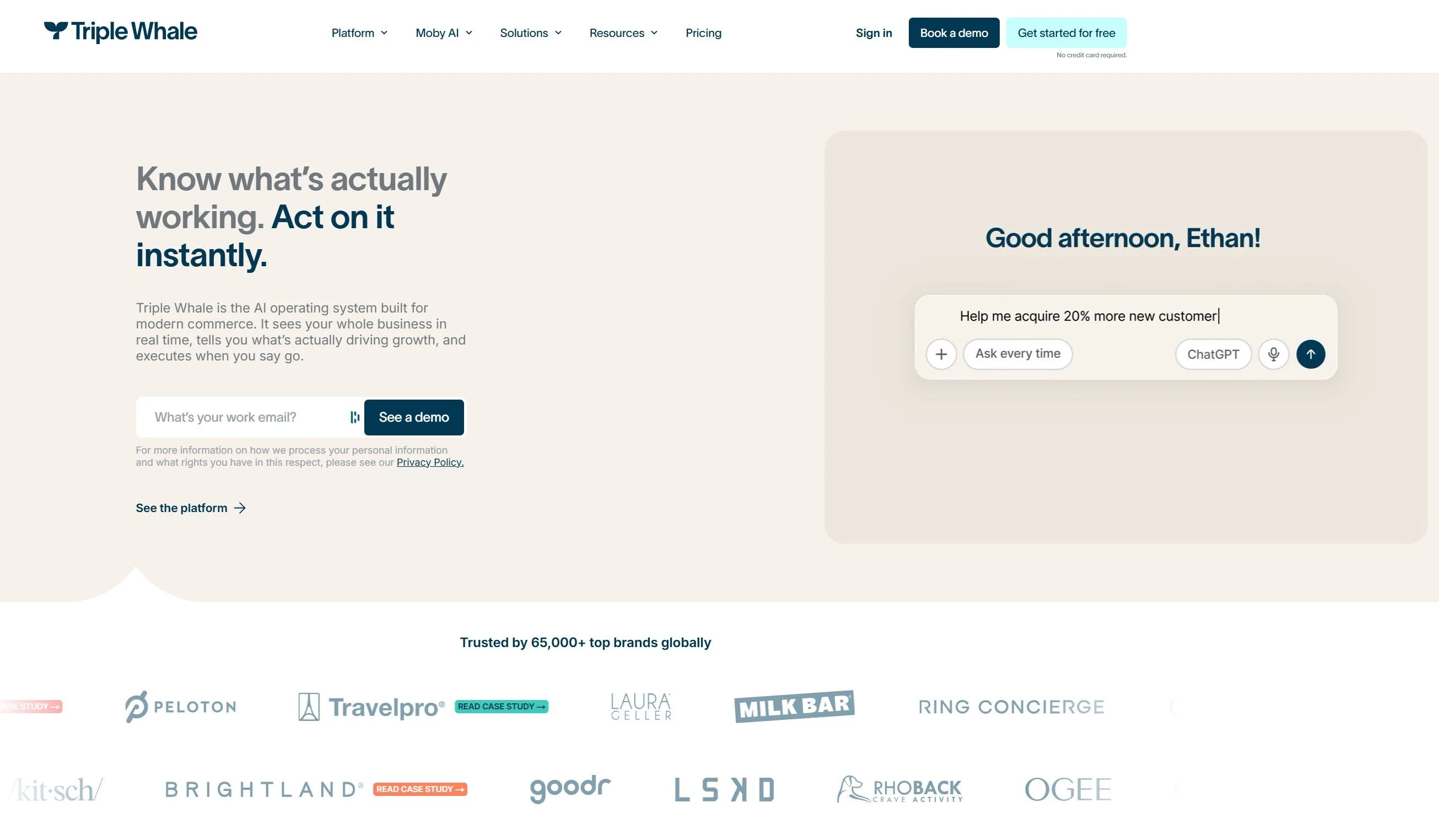 site web de triple whale