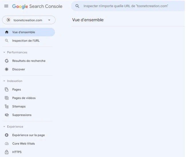 page vue densemble google search console