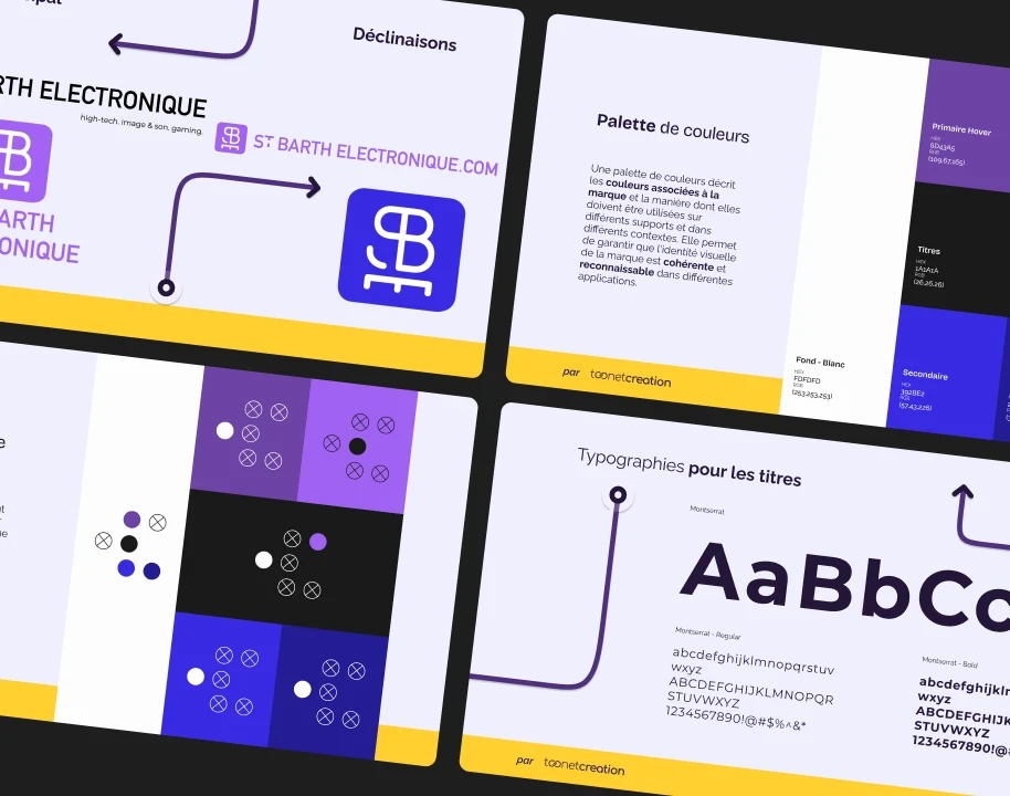 Identité visuelle St Barth Electronique