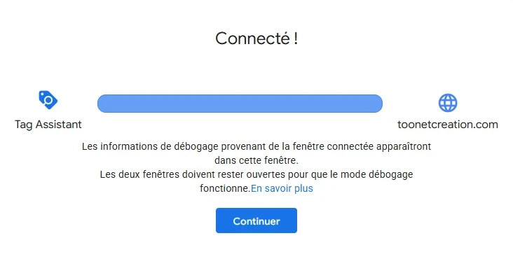 exemple de connexion reussi avec google tag manager