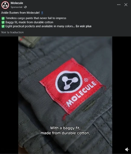 publicité facebooks ads vidéo