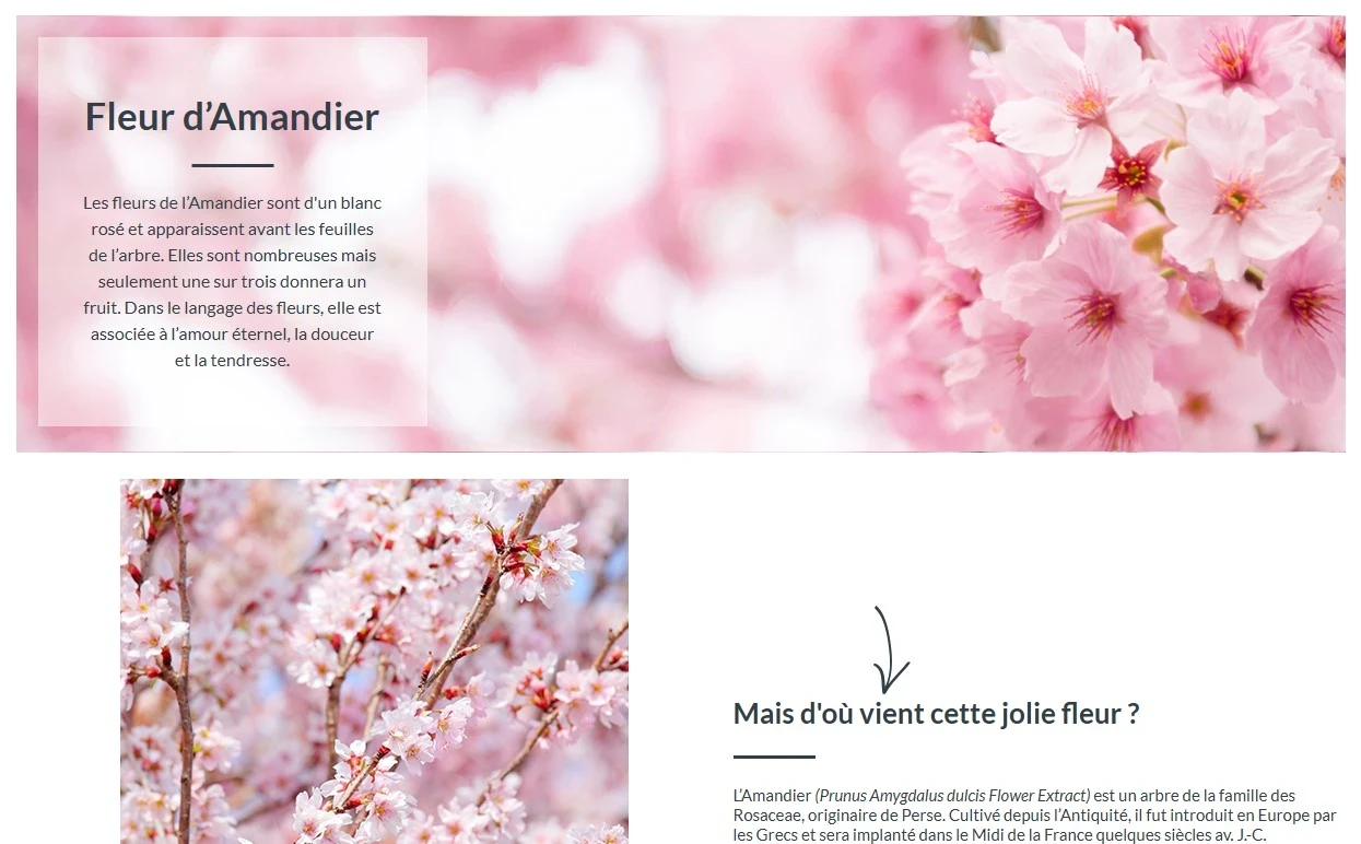 exemple de page avec un contenu seo permettant au client et au moteur de recherche  de mieux comprendre les produits